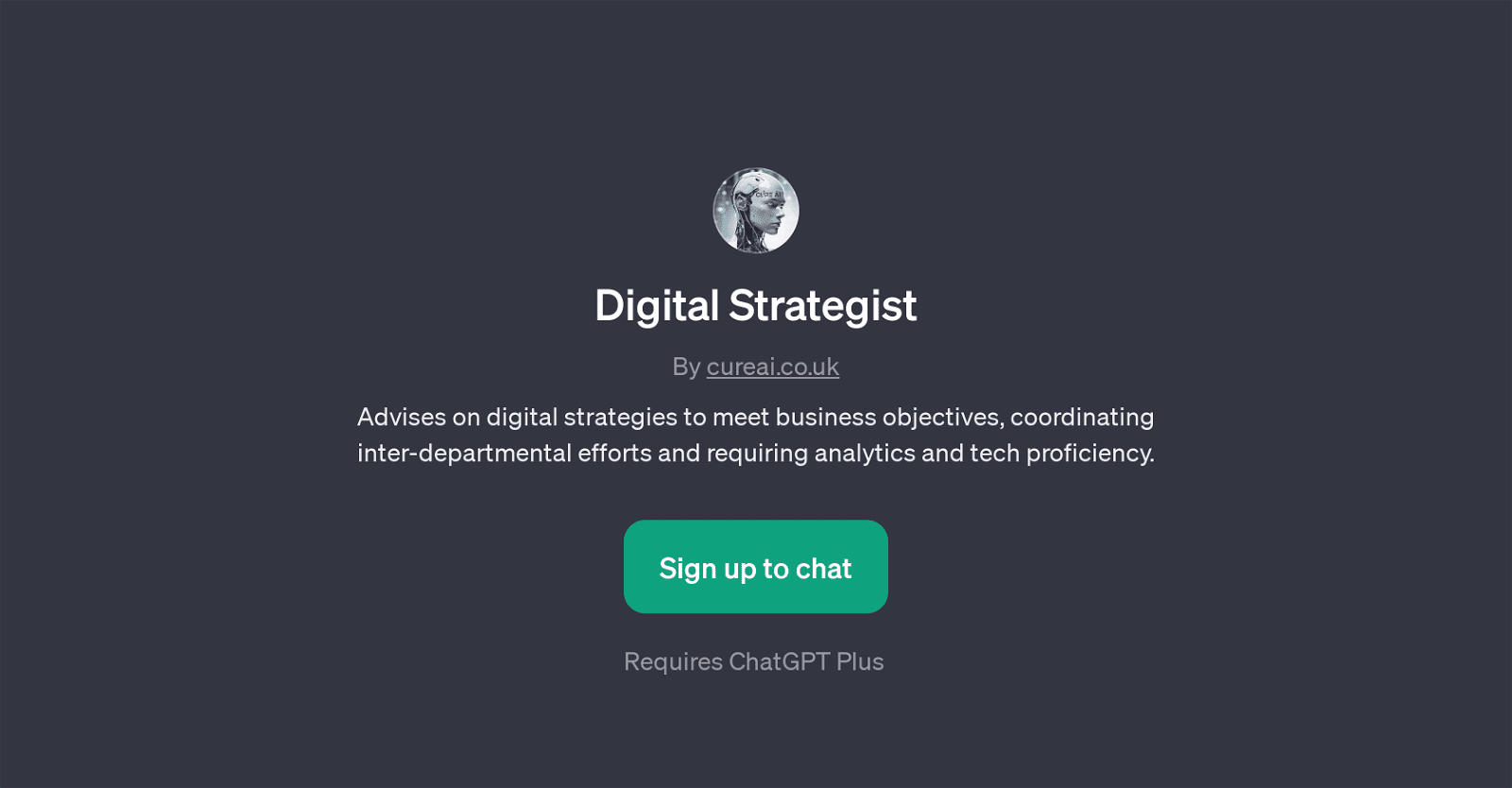 Digital Strategist