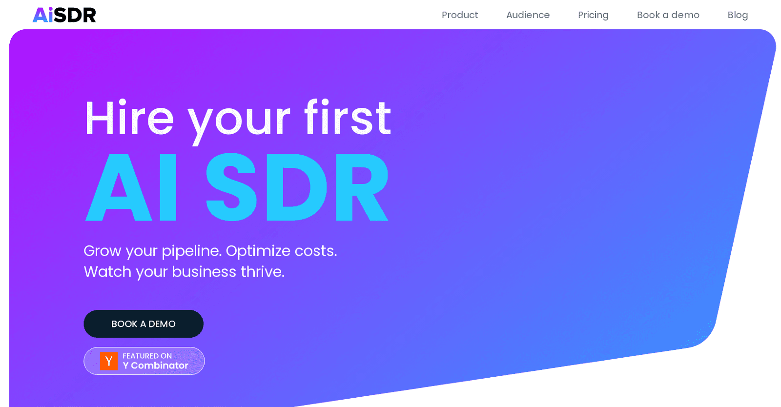 AiSDR