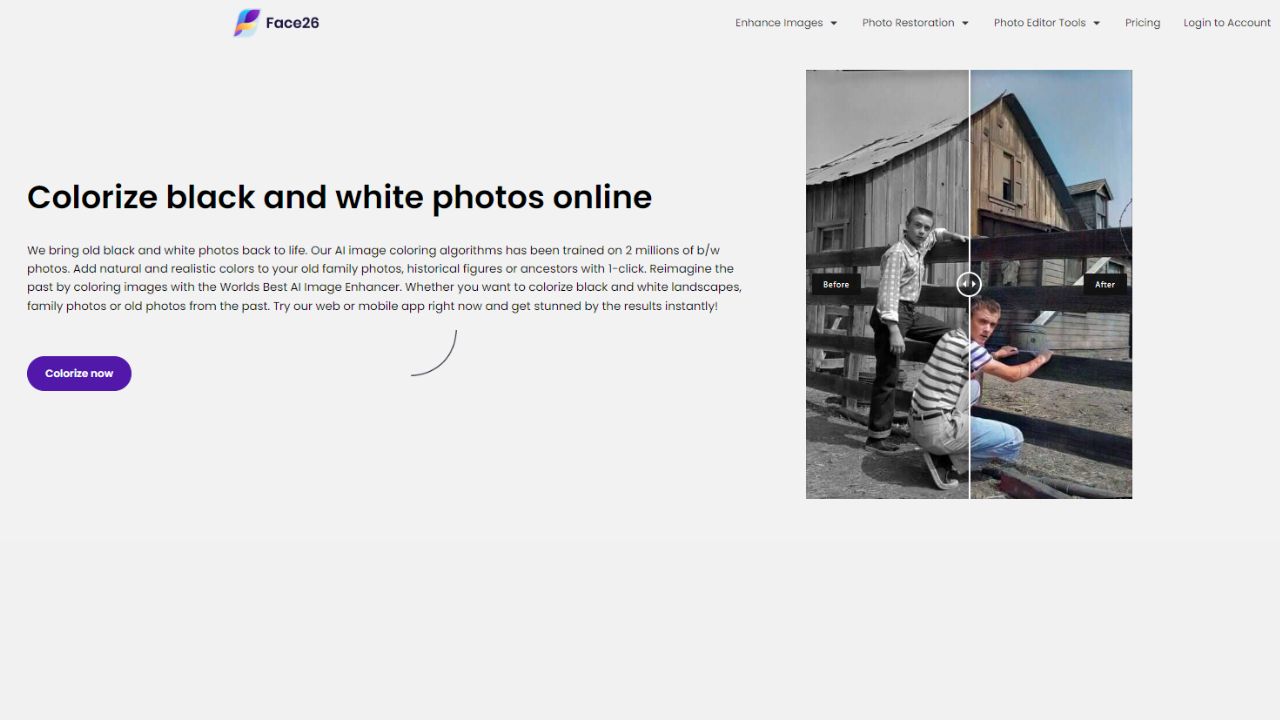 Colorize Photo