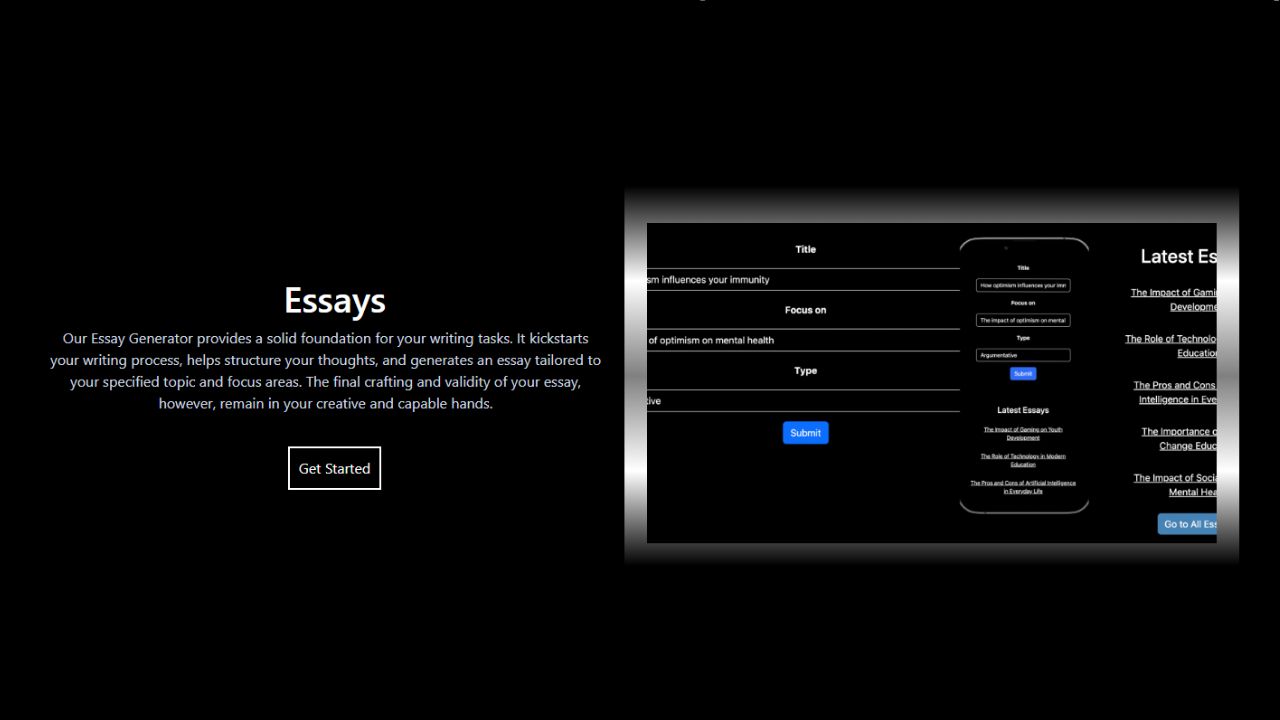 Essay