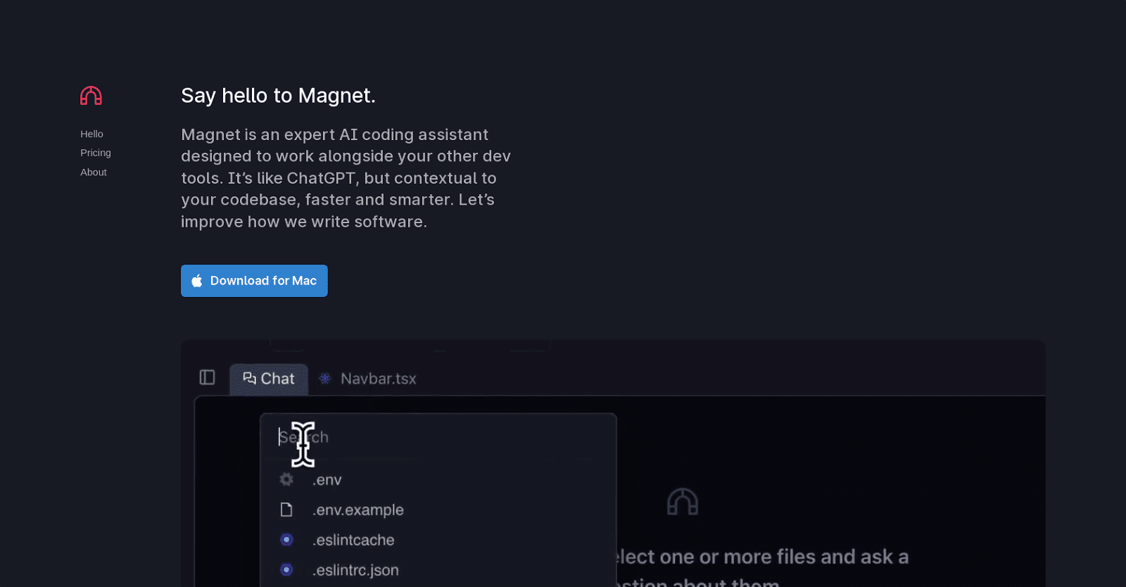 Magnet