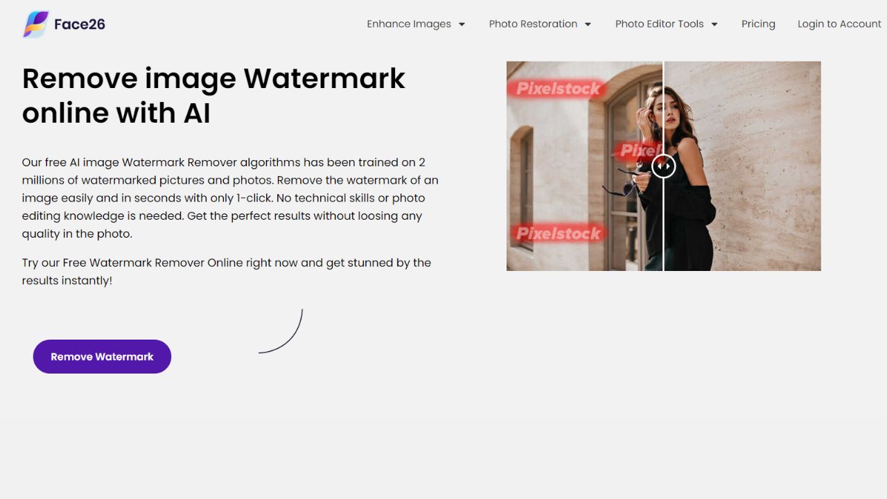 Face26 Watermark Remover