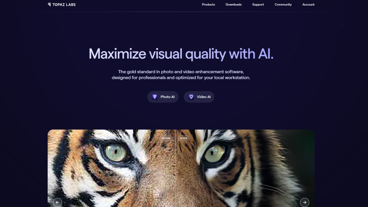 Topaz Labs AI